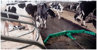 Курсовая работа по теме Проект технологической линии удаления навоза от коров